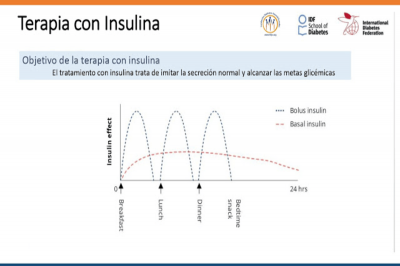 insulina1